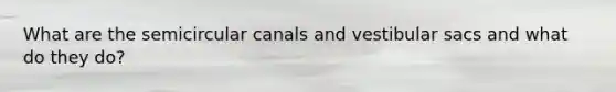What are the semicircular canals and vestibular sacs and what do they do?