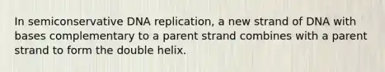 In semiconservative DNA replication, a new strand of DNA with bases complementary to a parent strand combines with a parent strand to form the double helix.