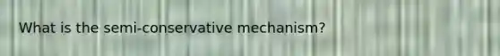 What is the semi-conservative mechanism?