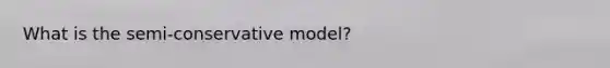 What is the semi-conservative model?