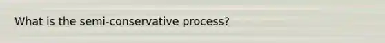 What is the semi-conservative process?