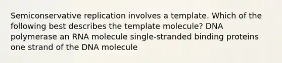 Semiconservative replication involves a template. Which of the following best describes the template molecule? DNA polymerase an RNA molecule single-stranded binding proteins one strand of the DNA molecule