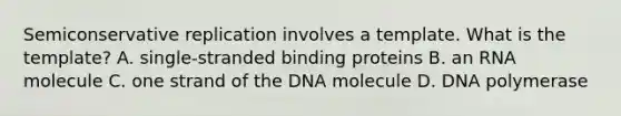 Semiconservative replication involves a template. What is the template? A. single-stranded binding proteins B. an RNA molecule C. one strand of the DNA molecule D. DNA polymerase