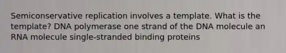 Semiconservative replication involves a template. What is the template? DNA polymerase one strand of the DNA molecule an RNA molecule single-stranded binding proteins