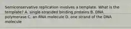 Semiconservative replication involves a template. What is the template? A. single-stranded binding proteins B. DNA polymerase C. an RNA molecule D. one strand of the DNA molecule