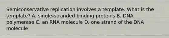 Semiconservative replication involves a template. What is the template? A. single-stranded binding proteins B. DNA polymerase C. an RNA molecule D. one strand of the DNA molecule