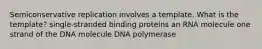 Semiconservative replication involves a template. What is the template? single-stranded binding proteins an RNA molecule one strand of the DNA molecule DNA polymerase