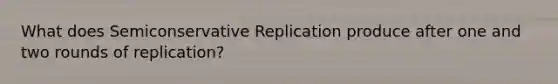 What does Semiconservative Replication produce after one and two rounds of replication?