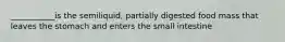 ___________is the semiliquid, partially digested food mass that leaves the stomach and enters the small intestine