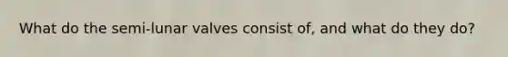 What do the semi-lunar valves consist of, and what do they do?