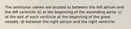 The semilunar valves are located a) between the left atrium and the left ventricle. b) at the beginning of the ascending aorta. c) at the exit of each ventricle at the beginning of the great vessels. d) between the right atrium and the right ventricle.