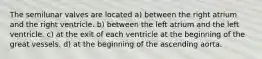 The semilunar valves are located a) between the right atrium and the right ventricle. b) between the left atrium and the left ventricle. c) at the exit of each ventricle at the beginning of the great vessels. d) at the beginning of the ascending aorta.