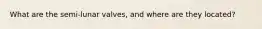 What are the semi-lunar valves, and where are they located?