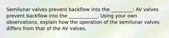 Semilunar valves prevent backflow into the _________; AV valves prevent backflow into the ____________. Using your own observations, explain how the operation of the semilunar valves differs from that of the AV valves.