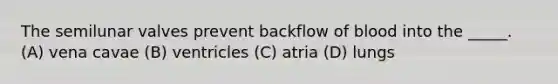 The semilunar valves prevent backflow of blood into the _____. (A) vena cavae (B) ventricles (C) atria (D) lungs