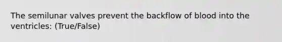 The semilunar valves prevent the backflow of blood into the ventricles: (True/False)