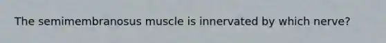 The semimembranosus muscle is innervated by which nerve?