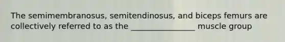 The semimembranosus, semitendinosus, and biceps femurs are collectively referred to as the ________________ muscle group