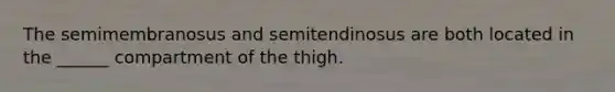 The semimembranosus and semitendinosus are both located in the ______ compartment of the thigh.