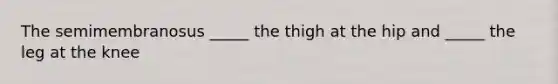 The semimembranosus _____ the thigh at the hip and _____ the leg at the knee