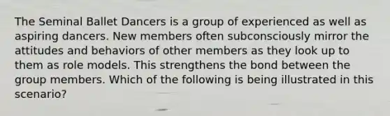 The Seminal Ballet Dancers is a group of experienced as well as aspiring dancers. New members often subconsciously mirror the attitudes and behaviors of other members as they look up to them as role models. This strengthens the bond between the group members. Which of the following is being illustrated in this scenario?