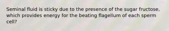 Seminal fluid is sticky due to the presence of the sugar fructose, which provides energy for the beating flagellum of each sperm cell?