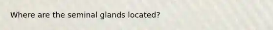 Where are the seminal glands located?