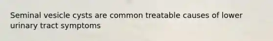 Seminal vesicle cysts are common treatable causes of lower urinary tract symptoms