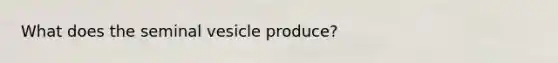 What does the seminal vesicle produce?