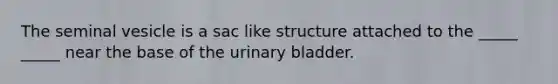 The seminal vesicle is a sac like structure attached to the _____ _____ near the base of the urinary bladder.