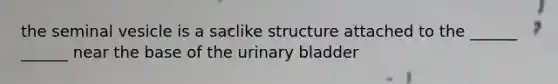 the seminal vesicle is a saclike structure attached to the ______ ______ near the base of the urinary bladder