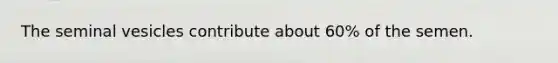 The seminal vesicles contribute about 60% of the semen.