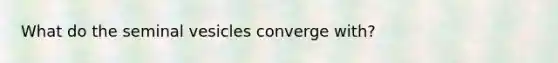 What do the seminal vesicles converge with?