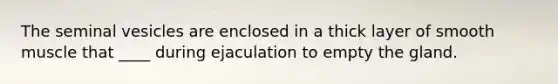 The seminal vesicles are enclosed in a thick layer of smooth muscle that ____ during ejaculation to empty the gland.