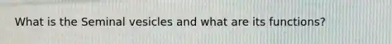What is the Seminal vesicles and what are its functions?