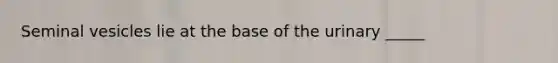 Seminal vesicles lie at the base of the urinary _____