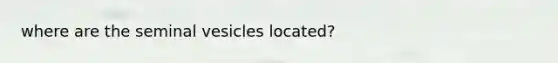 where are the seminal vesicles located?