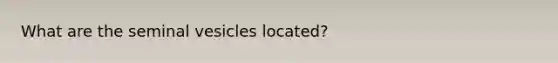 What are the seminal vesicles located?