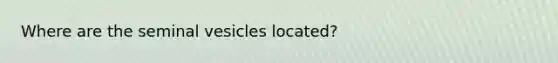 Where are the seminal vesicles located?