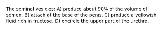 The seminal vesicles: A) produce about 90% of the volume of semen. B) attach at the base of the penis. C) produce a yellowish fluid rich in fructose. D) encircle the upper part of the urethra.