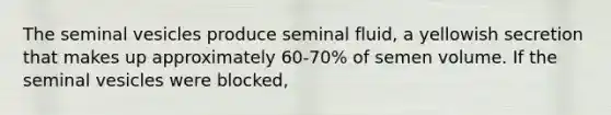 The seminal vesicles produce seminal fluid, a yellowish secretion that makes up approximately 60-70% of semen volume. If the seminal vesicles were blocked,