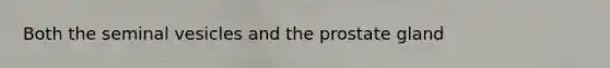 Both the seminal vesicles and the prostate gland
