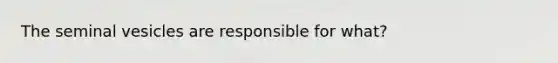 The seminal vesicles are responsible for what?