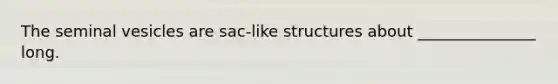 The seminal vesicles are sac-like structures about _______________ long.