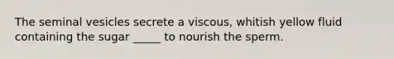 The seminal vesicles secrete a viscous, whitish yellow fluid containing the sugar _____ to nourish the sperm.