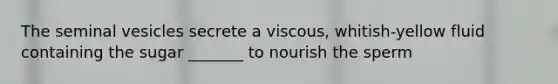 The seminal vesicles secrete a viscous, whitish-yellow fluid containing the sugar _______ to nourish the sperm