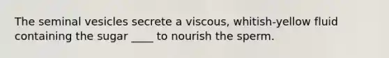 The seminal vesicles secrete a viscous, whitish-yellow fluid containing the sugar ____ to nourish the sperm.