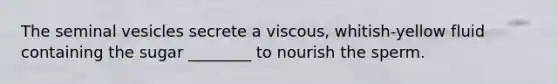 The seminal vesicles secrete a viscous, whitish-yellow fluid containing the sugar ________ to nourish the sperm.