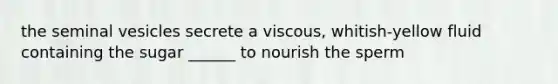 the seminal vesicles secrete a viscous, whitish-yellow fluid containing the sugar ______ to nourish the sperm