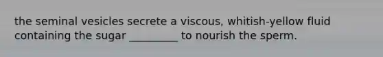 the seminal vesicles secrete a viscous, whitish-yellow fluid containing the sugar _________ to nourish the sperm.